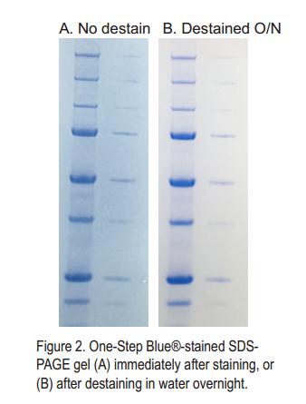 One-Step Blue One-Step Blue